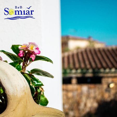 B&B Somiar San Teodoro  Exteriér fotografie