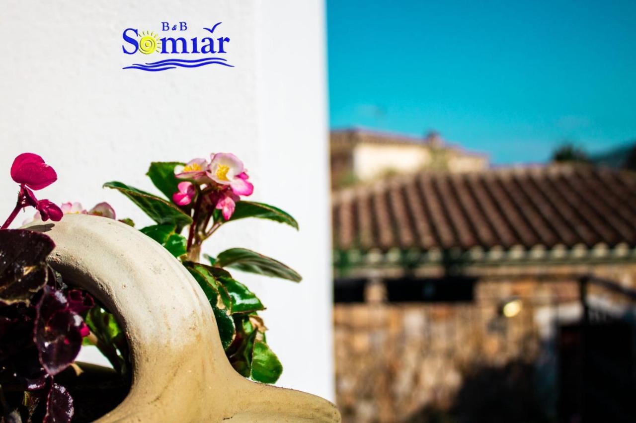 B&B Somiar San Teodoro  Exteriér fotografie
